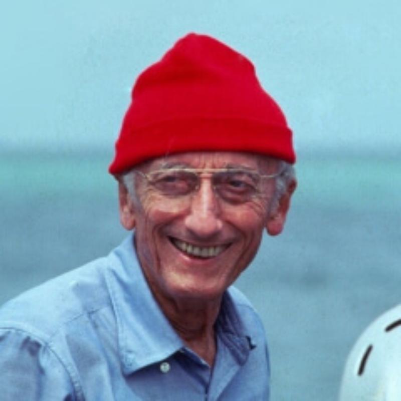 profile picture of user